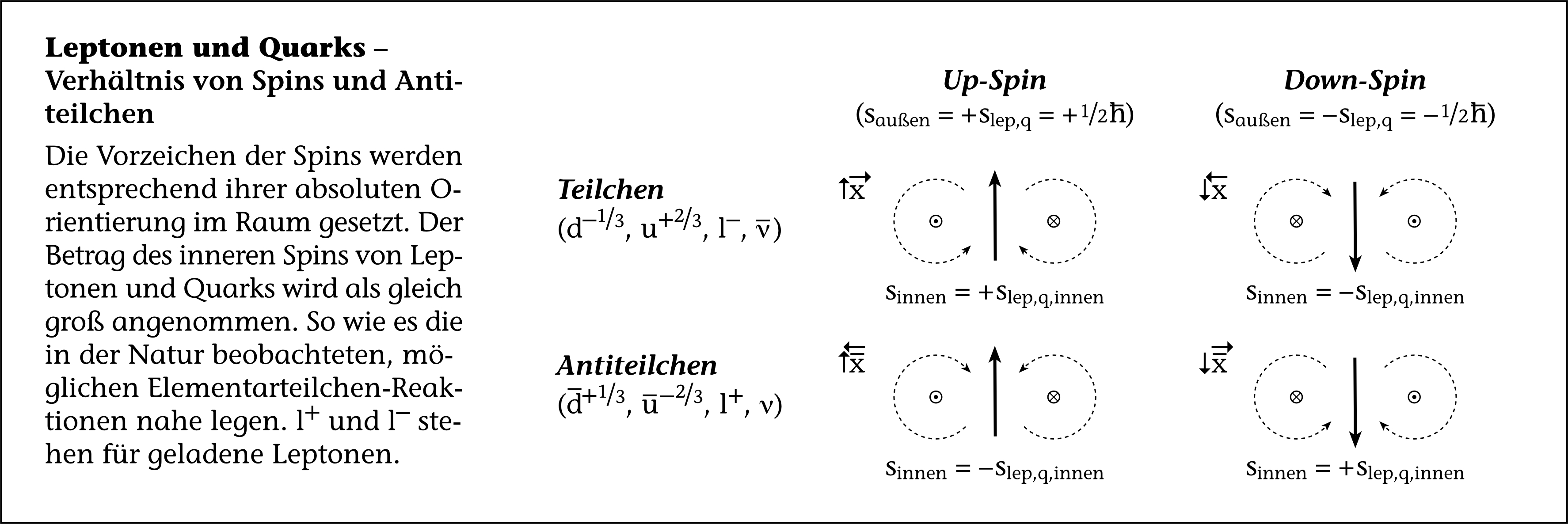Leptonen und Quarks - Verhältnis von Spins und Antiteilchen