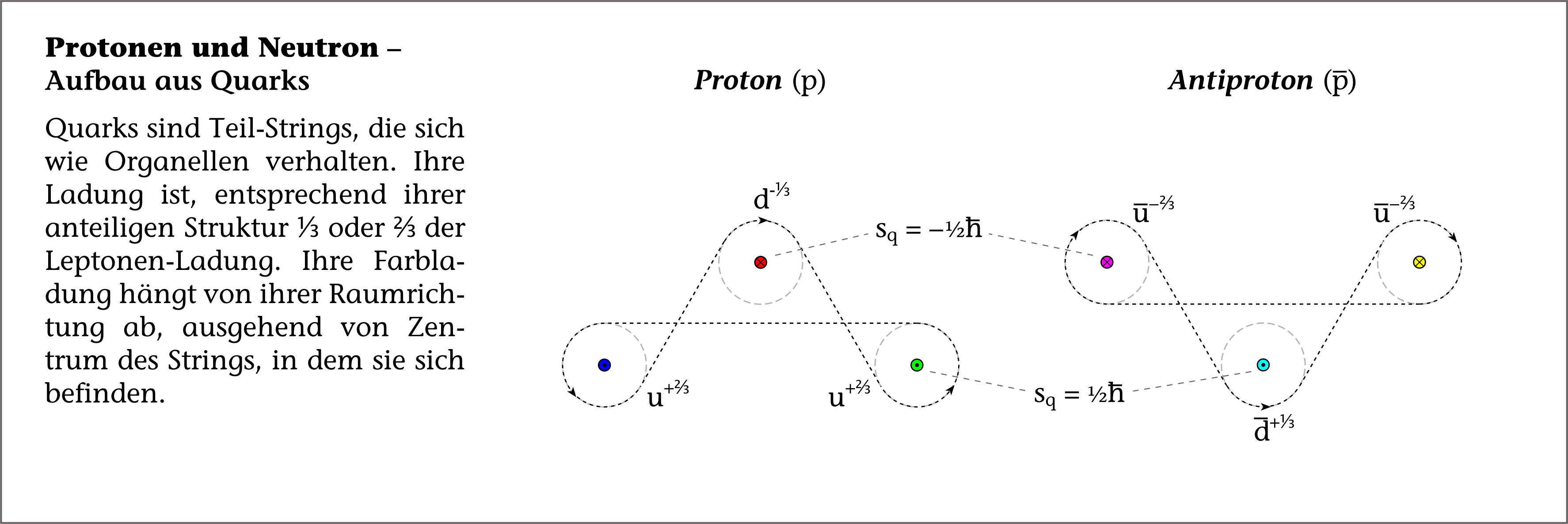 Protonen und Neutron - Aufbau aus Quarks