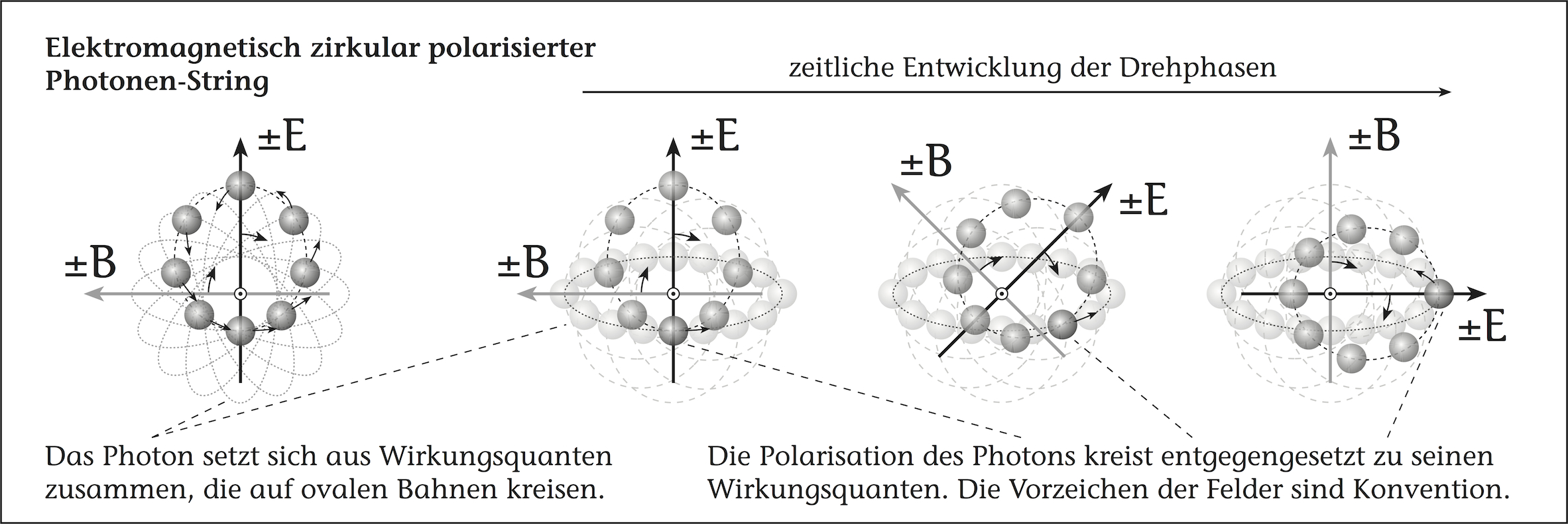Elektromagnetisch zirkular polarisiertes Photon (ph)
